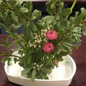 Meet your Posher, Tamara